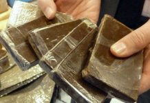 Béchar- Démantèlement d’un réseau et saisie de 59 kg de kif