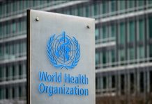 Vieux remèdes et IA – L’OMS recherche des preuves d’efficacité de la médecine traditionnelle