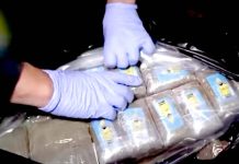 Espagne – Expulsion d’un ressortissant marocain impliqué dans un réseau de trafic de drogue