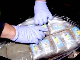 Espagne – Expulsion d’un ressortissant marocain impliqué dans un réseau de trafic de drogue