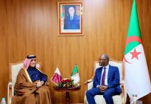 Algérie-Qatar – Les liens se raffermissent dans le secteur de la Jeunesse
