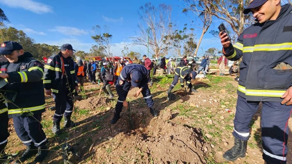 04-Oran mobilisée pour reverdir ses espaces forestiers