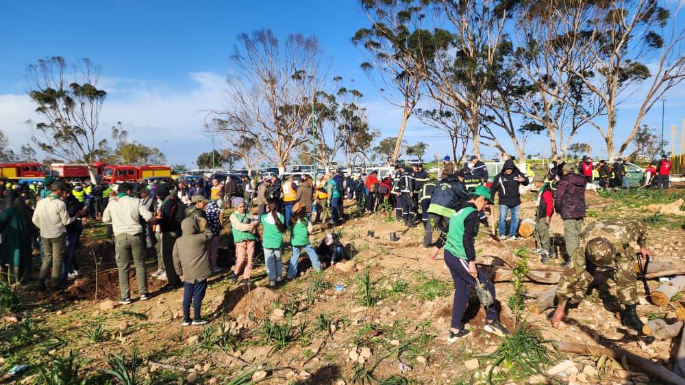 08 - Plantation de 5 millions d'arbres