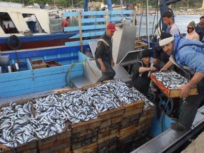 89a7a5fb-04a9-4799-9a5f-35907eae87aa