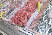 Tlemcen – 27 tonnes de produits halieutiques vendus en début de Ramadhan