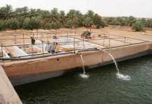 Biskra – Sensibilisation des agriculteurs à l’aquaculture intégrée à l’agriculture