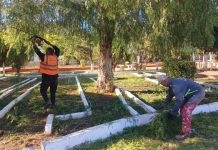 Propreté, végétalisation et veille sanitaire – Déploiement d’un plan d’action coordonné