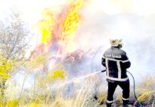 Mascara – Lancement de la campagne de lutte contre les feux de forêt