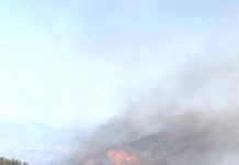 Béjaïa – Plan anti-incendie 2026 – 120 km de pistes et 43 ha de pare-feu pour protéger le patrimoine forestier