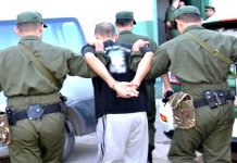 Blida – 49 moutons roumains volés pour l’Aïd – La Gendarmerie récupère 181 millions et arrête 5 voleurs