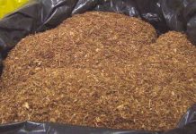 Bordj Bou Arréridj – Saisie de plus de 11 quintaux de tabac à chiquer contrefait par la gendarmerie