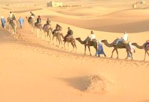 Tourisme saharien – Un secteur en plein essor