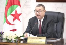 Lutte contre les bandes de quartiers – Saïd Sayoud lance un plan préventif et proactif