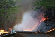 Japon – Des centaines de pompiers luttent contre feux de forêts dans le nord