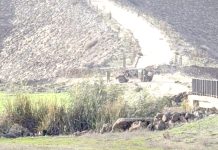 Syrie – Nouvelle incursion sioniste dans la banlieue de Quneitra