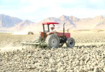 Chaleur extrême – L’agriculture marocaine fragilisée par la crise climatique