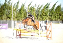 Equitation – Concours national d’endurance samedi prochain à Tiaret