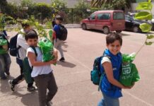Environnement et sensibilisation écologique – À Oran, des écoliers deviennent acteurs du reboisement urbain
