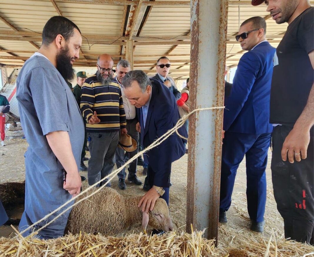 03-Le wali inspecte les dispositifs de quarantaine et de vente des moutons importés