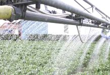 Relizane – Plus de 37 millions de m³ d’eau réservés à la campagne d’irrigation agricole 2026