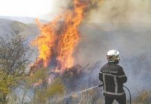 Campagne de prévention 2026 – Mostaganem se dote de 13 tours de vigie pour lutter contre les feux de forêt
