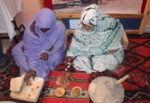 Tindouf -Une journée pour promouvoir l’arganier et l’autonomisation des femmes rurales