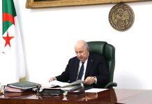 Création d’un hôpital d’oncologie dans chaque wilaya – Les associations saluent la décision du président Tebboune