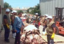 Groupe Getex – Un dispositif numérique pour la collecte des peaux de moutons