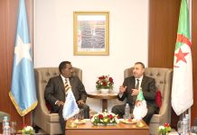 Coopération algéro-somalienne – Saïd Sayoud impulse un partenariat stratégique
