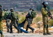 Cisjordanie occupée – 7 Palestiniens arrêtés par les forces sionistes en 24 heures