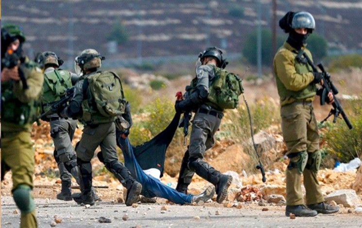 11 - Cisjordanie occupée