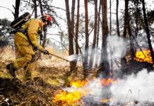 Guinée – Nouvel incendie sur le site de l’ancien dépôt d’hydrocarbures de Conakry
