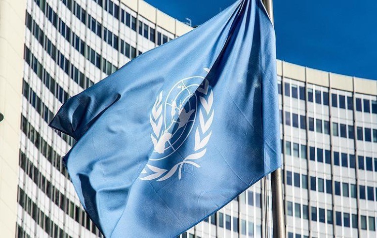 11 - ONU