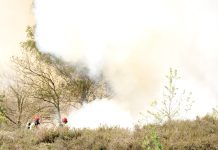 Incendies en série aux Pays-Bas – La situation sous surveillance
