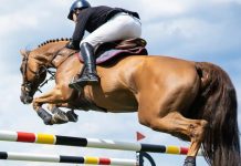 Saut d’obstacles – La compétition deux et trois étoiles se poursuit à Tipaza
