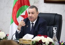 Saison estivale – Sayoud lance un programme intégré pour l’accueil des citoyens