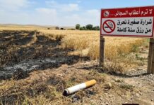 Chaleur et saison des récoltes – La Conservation des forêts d’Oran appelle à une vigilance renforcée face aux incendies