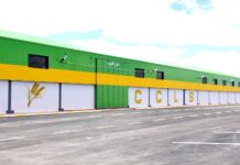 Médéa et Ksar El-Boukhari: 11 centres de stockage de céréales opérationnels pour la campagne moisson-battage