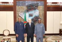 Tebboune reçoit les ministres des hydrocarbures du Nigeria et du Niger – Le projet du gazoduc transsaharien s’accélère