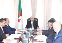 Développement industriel – Le Président Tebboune suit l’avancement des projets majeurs