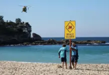Australie – Une nageuse dans un état critique après avoir été attaquée par un requin
