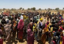 Conflit au Soudan – Plus de 380 personnes déplacées en deux jours dans l’Etat du Kordofan du Sud