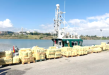 Espagne – Près de 4.800 kg de haschisch marocain saisis dans le détroit de Gibraltar