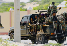 Somalie -14 terroristes Shebab éliminés dans le sud du pays