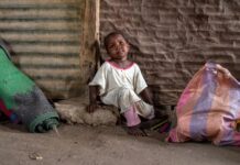 Soudan – L’IGAD exprimé sa « vive préoccupation » face à l’escalade des hostilités à El Obeid