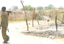 Soudan du Sud – La spirale des violences à Jonglei provoque un exode massif