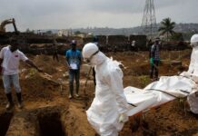 Zimbabwe – Renforcement des mesures de prévention face à la propagation d’Ebola