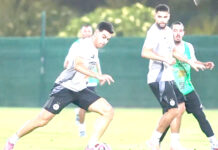LES VERTS INTENSIFIENT LEUR PRÉPARATION