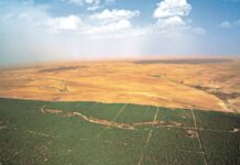 Sécheresse: L’Algérie, un modèle de lutte contre la désertification