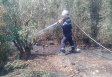 Protection civile – 04 incendies de végétation maîtrisés et 02 autres sous surveillances à Blida et Tizi Ouzou